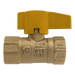 1/2 in FIP Gas Valve