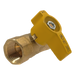 1/2 in FIP Gas Valve