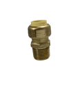 Push-to-Connect  1/2 Inch x 1/2 Inch Male Adapter