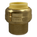 1/2 inch Push-to-Connect End Cap
