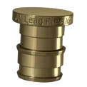 1/2 Inch Pex-A Expansion Plug End Cap