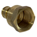 Pex-A Expansion 1/2 Inch x 1/2 Inch Female NPT