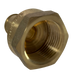 Pex-A Expansion 1/2 Inch x 3/4 Inch Female NPT