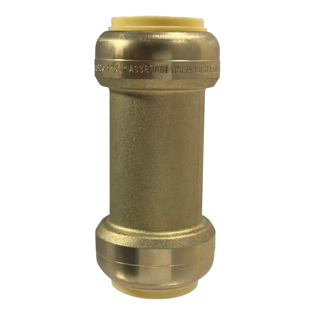 1 Inch Push-to-Connect Check Valve
