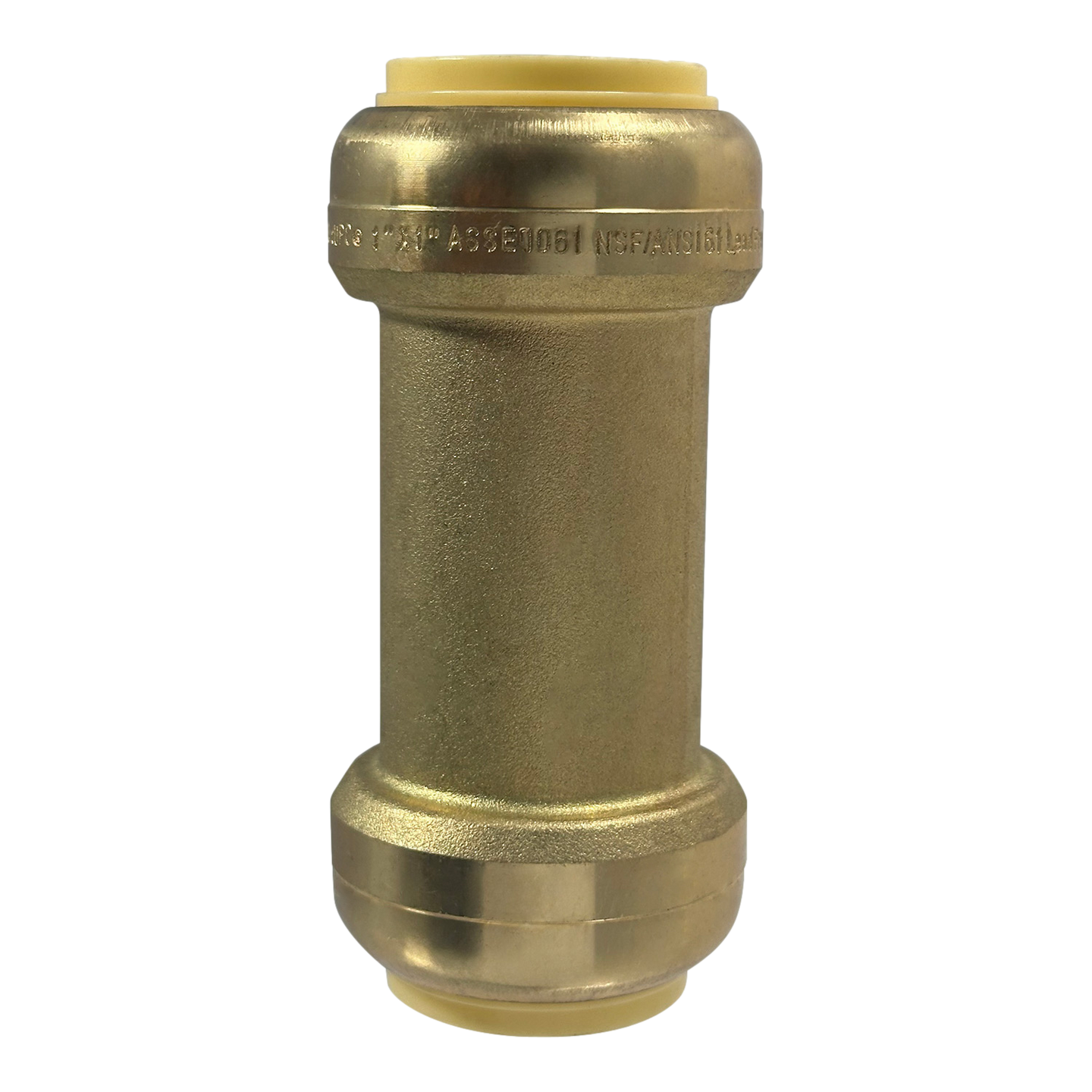 1 Inch Push-to-Connect Check Valve