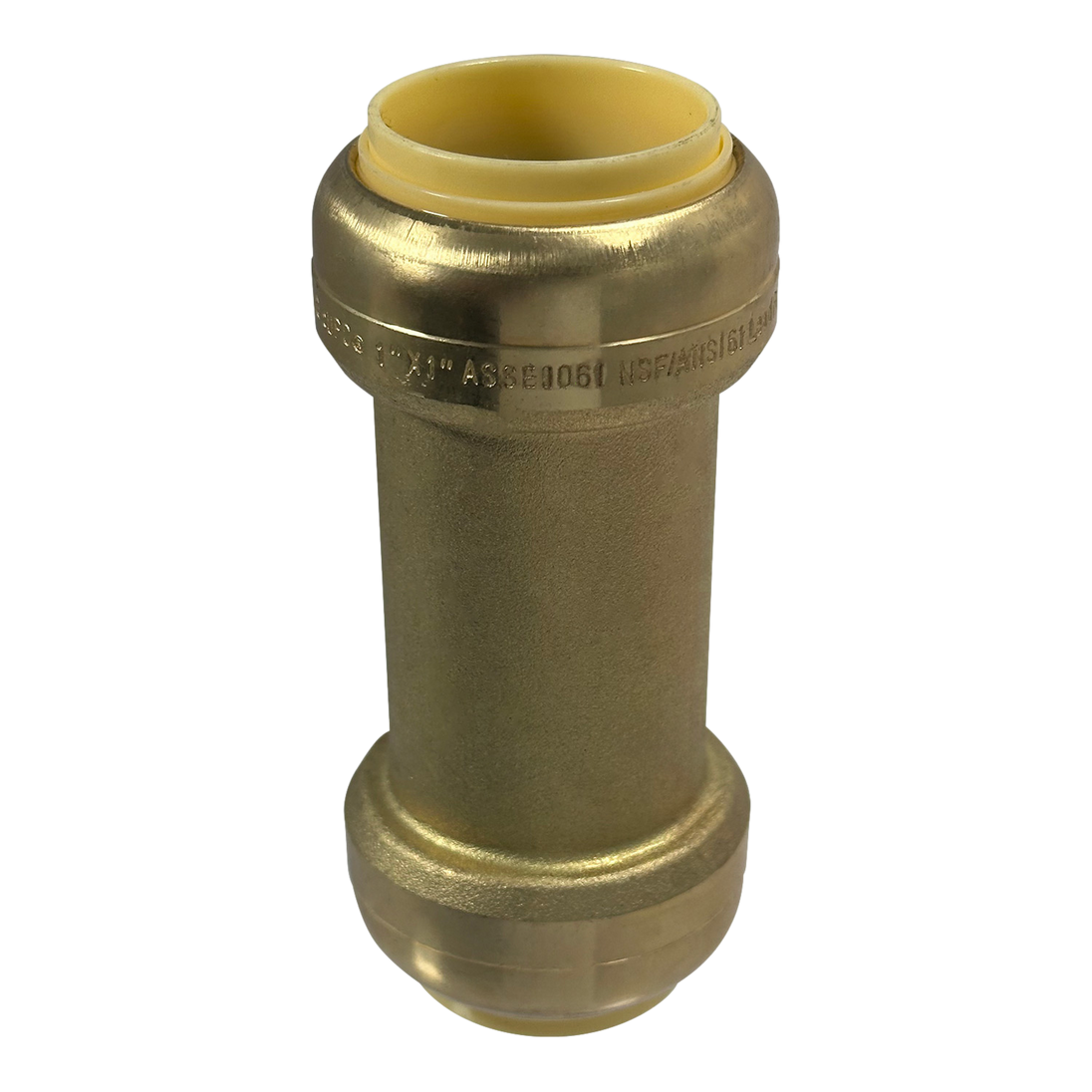 1 Inch Push-to-Connect Check Valve