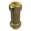 1 Inch Push-to-Connect Check Valve