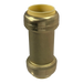 1 Inch Push-to-Connect Check Valve