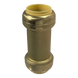 1 Inch Push-to-Connect Check Valve