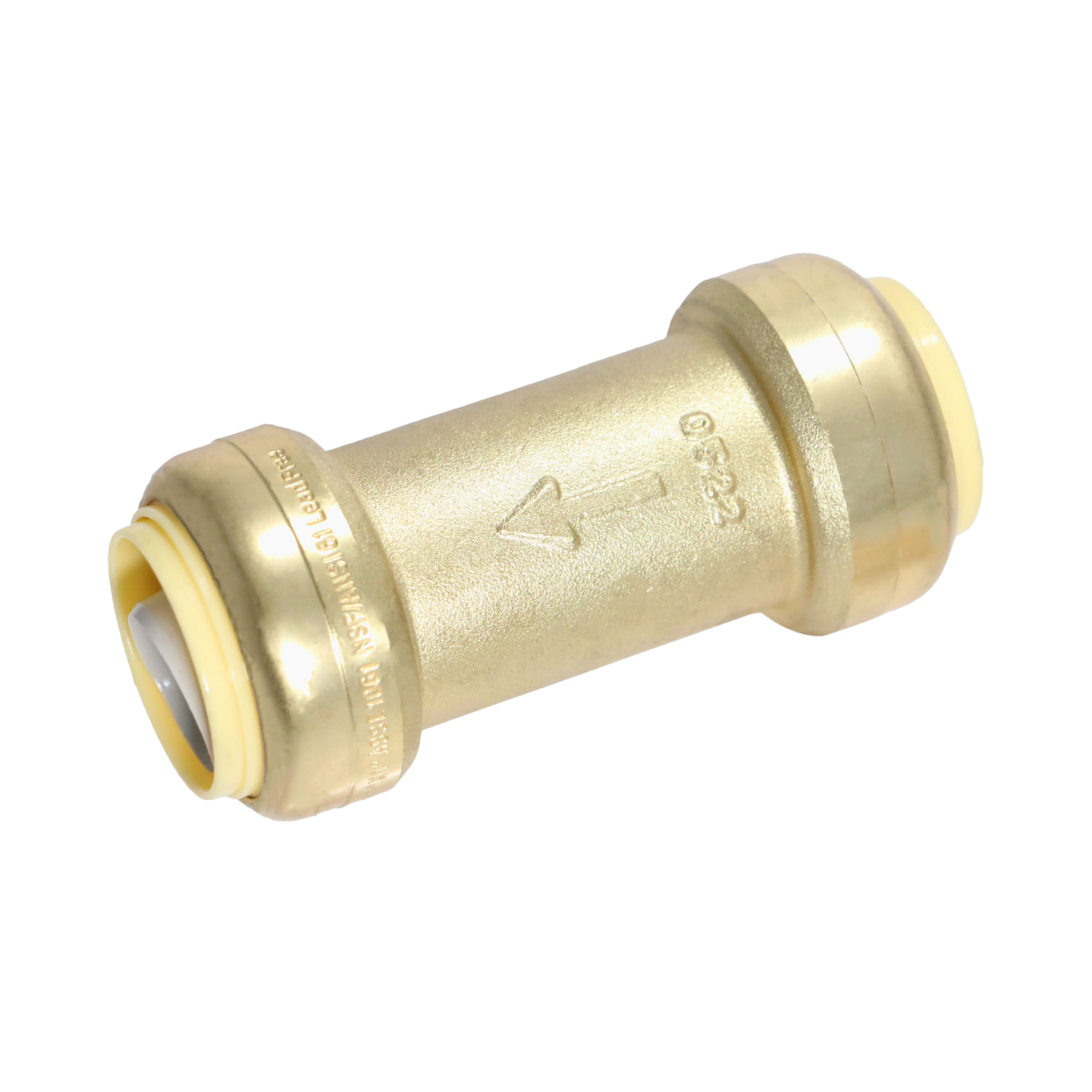 1 Inch Push-to-Connect Check Valve