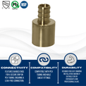 1/2 inch PEX-B Barb x 3/4 inch Male Sweat Adapter