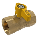 1 in FIP Gas Valve