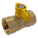 1 in FIP Gas Valve