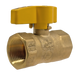 1 in FIP Gas Valve