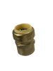 1 inch Push-to-Connect Female Adapter