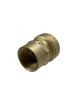 1 inch Push-to-Connect Female Adapter