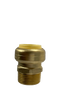 Push-to-Connect  1 Inch x 1 Inch Male Adapter