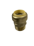 Push-to-Connect  1 Inch x 1 Inch Male Adapter
