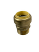 Push-to-Connect  1 Inch x 1 Inch Male Adapter