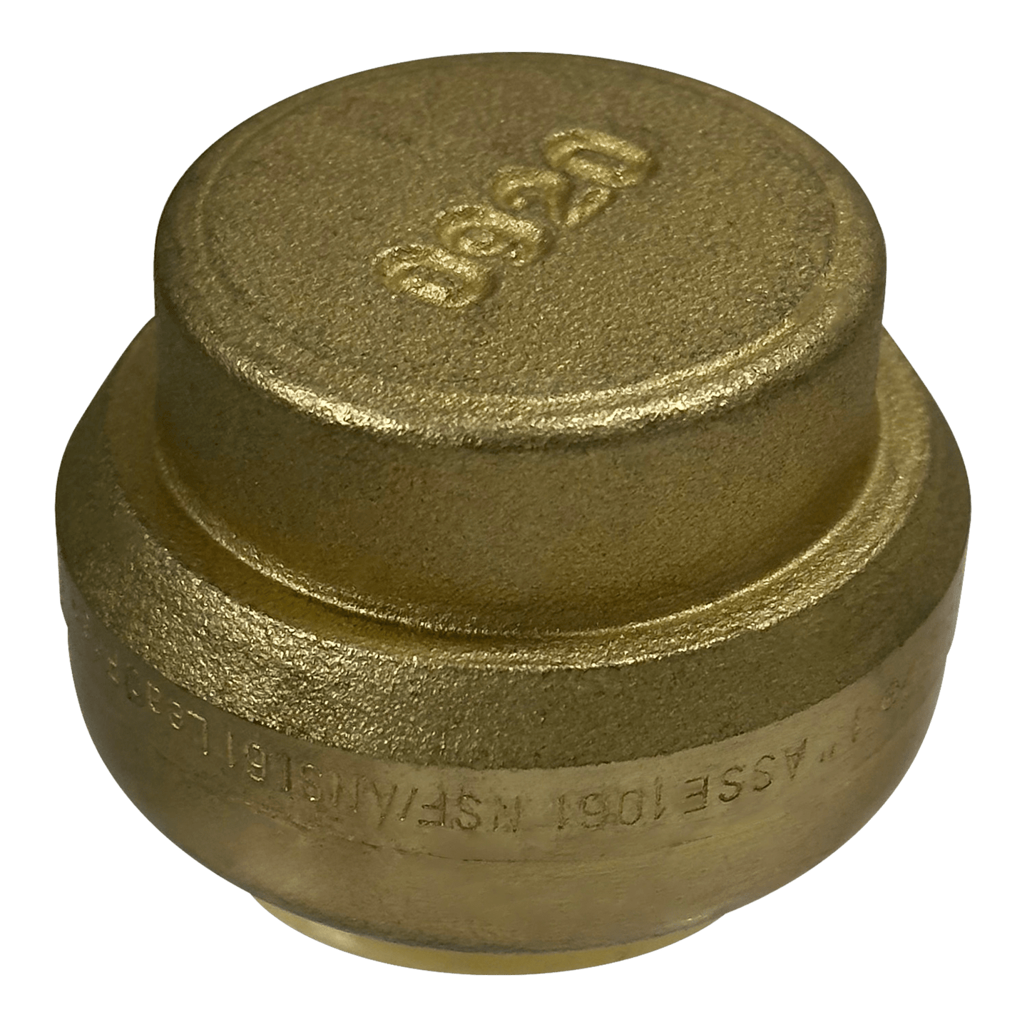 1 inch Push-to-Connect End Cap