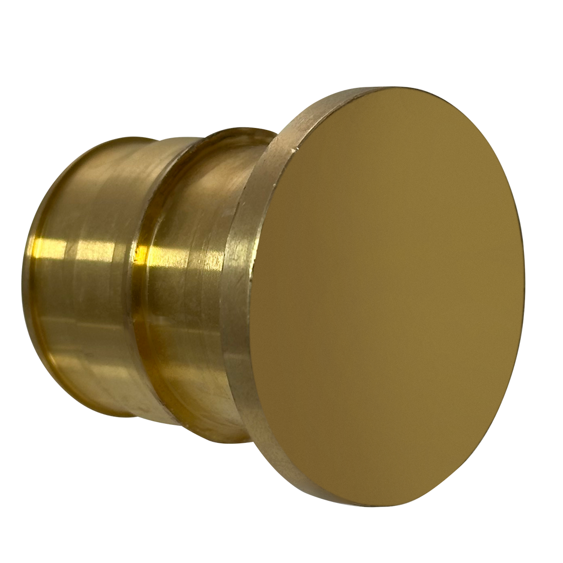 1 Inch Pex-A Expansion Plug, End Cap
