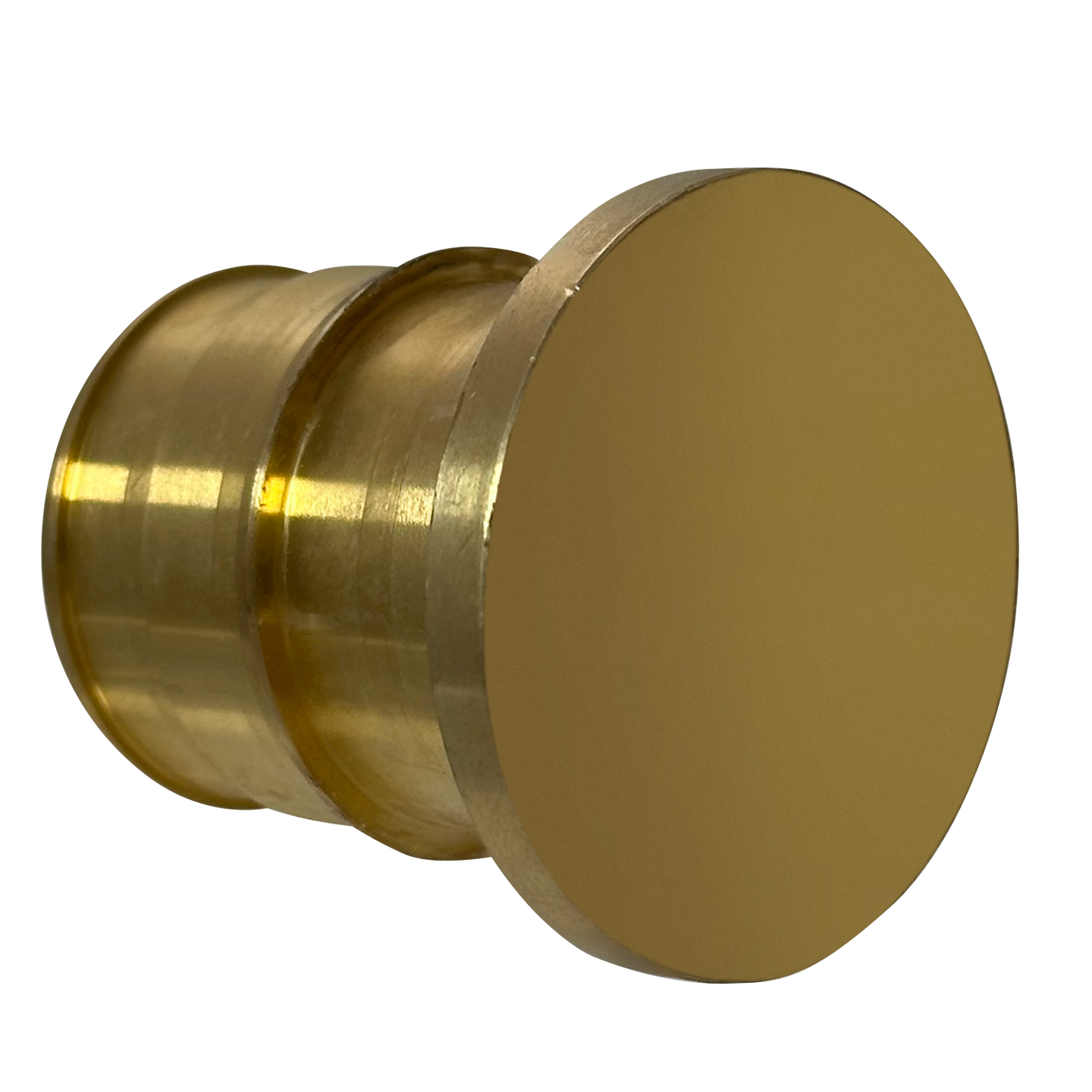 1 Inch Pex-A Expansion Plug, End Cap