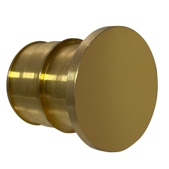 1 Inch Pex-A Expansion Plug End Cap