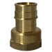 Pex-A Expansion 1 Inch x 1 Inch Female NPT