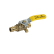 1/2 Inch Pex-A Expansion Ball Valve with Drain