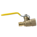 1/2 Inch Pex-A Expansion Female NPT Ball Valve