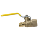 1/2 Inch Pex-A Expansion Female NPT Ball Valve