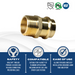 1 Inch Press Male MNPT Coupling