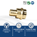 3/4 inch PEX-B Barb Crimp x 3/4 inch Press Coupling