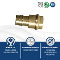 3/4 Inch Pex-A Expansion x 3/4 Inch Press Coupling