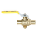 3/4 inch PEX-B Barb Crimp Ball Valve With Drop Ear