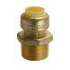 1/2 inch Push-to-Connect x 3/4 inch Male Adapter