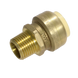 Push-to-Connect 3/4 Inch x 1/2 Inch Male Adapter
