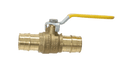 1 Inch x 1 Inch Pex-A Expansion Expansion Ball Valve