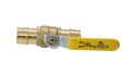 1 Inch x 1 Inch Pex-A Expansion Expansion Ball Valve