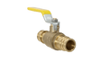 3/4 Inch x 3/4 Inch Pex-A Expansion Ball Valve