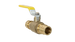 3/4 Inch x 3/4 Inch Pex-A Expansion Ball Valve