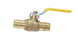 3/4 Inch x 3/4 Inch Pex-A Expansion Ball Valve