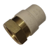 CPVC Transition Coupling | 3/4 Inch CPVC x 3/4 Inch FNPT