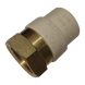 CPVC Transition Coupling | 3/4 Inch CPVC x 3/4 Inch FNPT