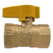 3/4 in FIP Gas Valve
