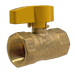 3/4 in FIP Gas Valve