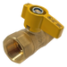 3/4 in FIP Gas Valve
