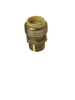 Push-to-Connect 1 Inch x 3/4 Inch Male Adapter
