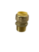 Push-to-Connect  3/4 Inch x 3/4 Inch Male Adapter