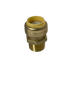 Push-to-Connect  3/4 Inch x 3/4 Inch Male Adapter
